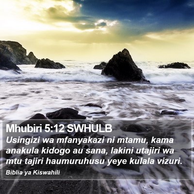 Mhubiri 5:12 SWHULB Bible Verse Image