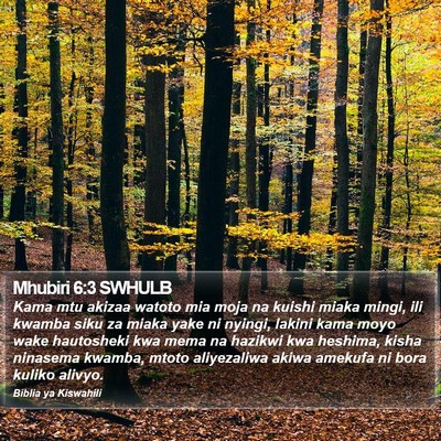 Mhubiri 6:3 SWHULB Bible Verse Image