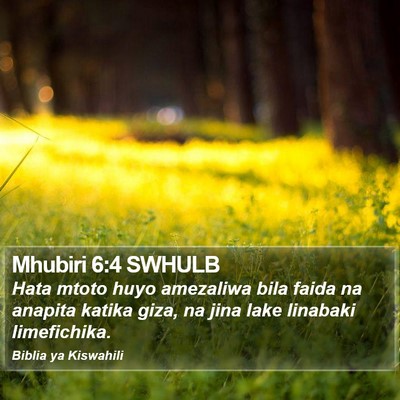 Mhubiri 6:4 SWHULB Bible Verse Image