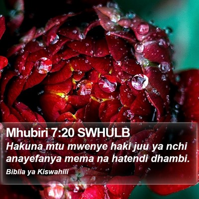 Mhubiri 7:20 SWHULB Bible Verse Image