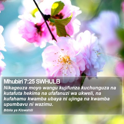 Mhubiri 7:25 SWHULB Bible Verse Image