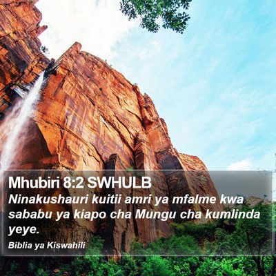Mhubiri 8:2 SWHULB Bible Verse Image