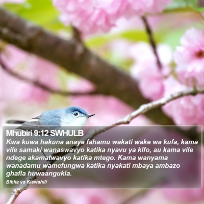 Mhubiri 9:12 SWHULB Bible Verse Image