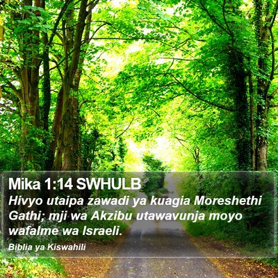 Mika 1:14 SWHULB Bible Verse Image