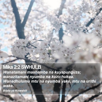 Mika 2:2 SWHULB Bible Verse Image