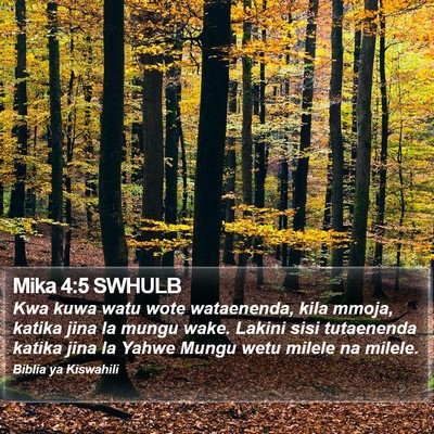Mika 4:5 SWHULB Bible Verse Image
