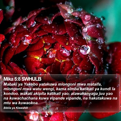 Mika 5:8 SWHULB Bible Verse Image