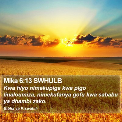 Mika 6:13 SWHULB Bible Verse Image