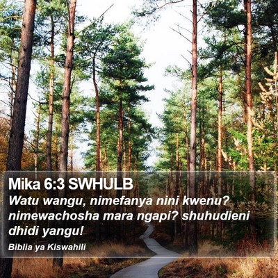 Mika 6:3 SWHULB Bible Verse Image
