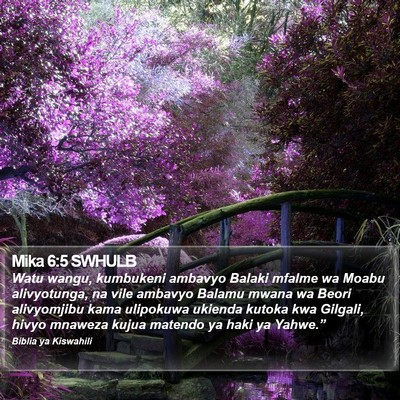 Mika 6:5 SWHULB Bible Verse Image
