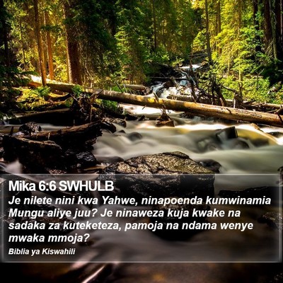 Mika 6:6 SWHULB Bible Verse Image