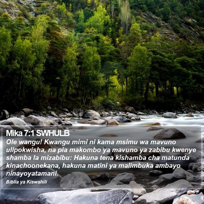 Mika 7:1 SWHULB Bible Verse Image