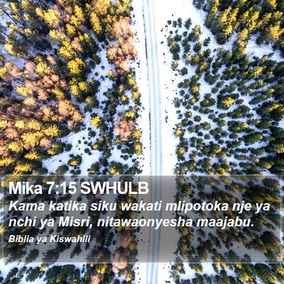 Mika 7:15 SWHULB Bible Verse Image