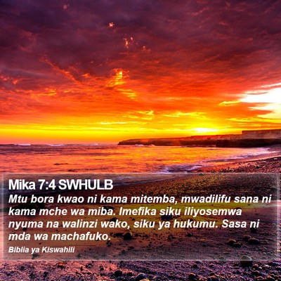 Mika 7:4 SWHULB Bible Verse Image