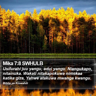 Mika 7:8 SWHULB Bible Verse Image
