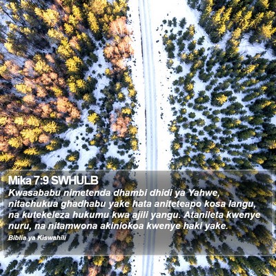 Mika 7:9 SWHULB Bible Verse Image