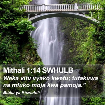 Mithali 1:14 SWHULB Bible Verse Image