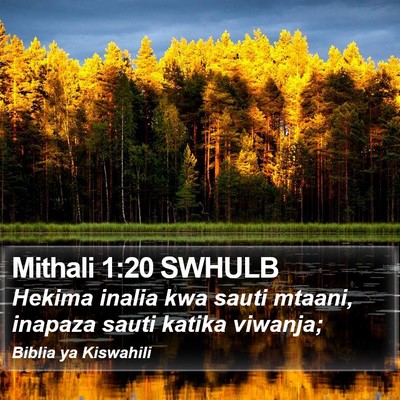 Mithali 1:20 SWHULB Bible Verse Image