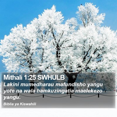 Mithali 1:25 SWHULB Bible Verse Image