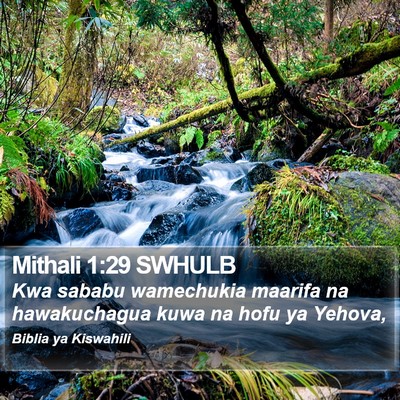 Mithali 1:29 SWHULB Bible Verse Image