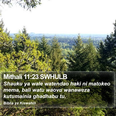 Mithali 11:23 SWHULB Bible Verse Image