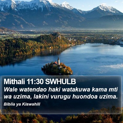 Mithali 11:30 SWHULB Bible Verse Image