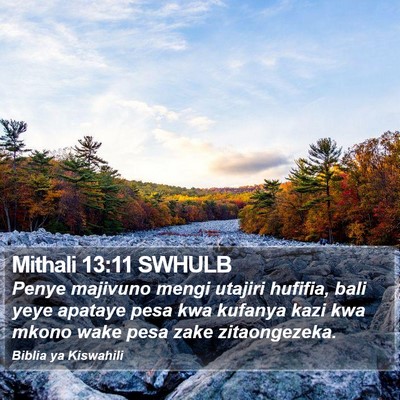 Mithali 13:11 SWHULB Bible Verse Image