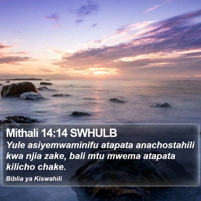 Mithali 14:14 SWHULB Bible Verse Image