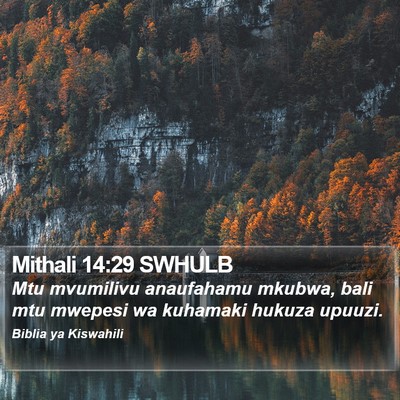 Mithali 14:29 SWHULB Bible Verse Image