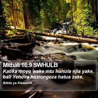 Mithali 16:9 SWHULB Bible Verse Image