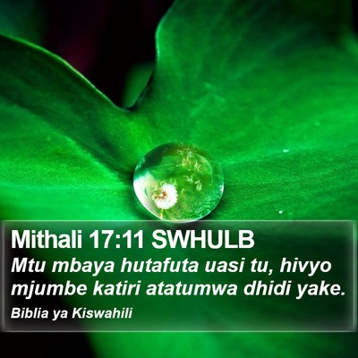 Mithali 17:11 SWHULB Bible Verse Image