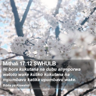 Mithali 17:12 SWHULB Bible Verse Image