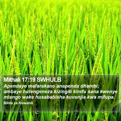 Mithali 17:19 SWHULB Bible Verse Image
