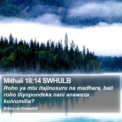 Mithali 18:14 SWHULB Bible Verse Image