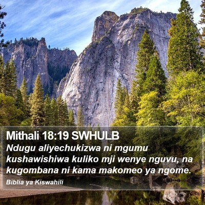 Mithali 18:19 SWHULB Bible Verse Image