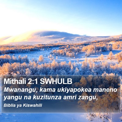 Mithali 2:1 SWHULB Bible Verse Image