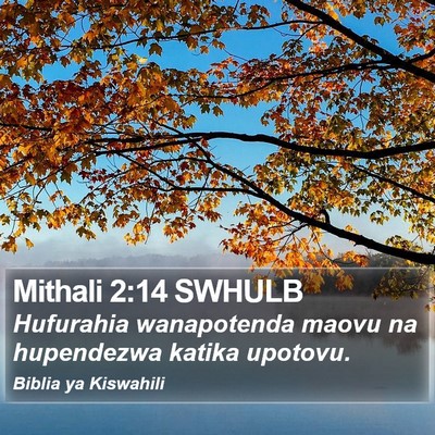 Mithali 2:14 SWHULB Bible Verse Image
