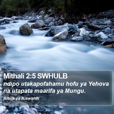 Mithali 2:5 SWHULB Bible Verse Image