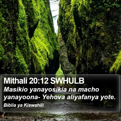 Mithali 20:12 SWHULB Bible Verse Image