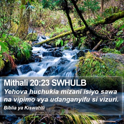 Mithali 20:23 SWHULB Bible Verse Image