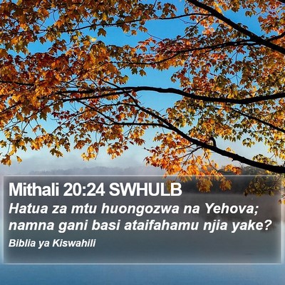 Mithali 20:24 SWHULB Bible Verse Image