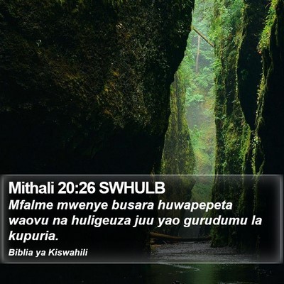 Mithali 20:26 SWHULB Bible Verse Image