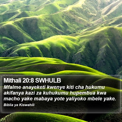 Mithali 20:8 SWHULB Bible Verse Image