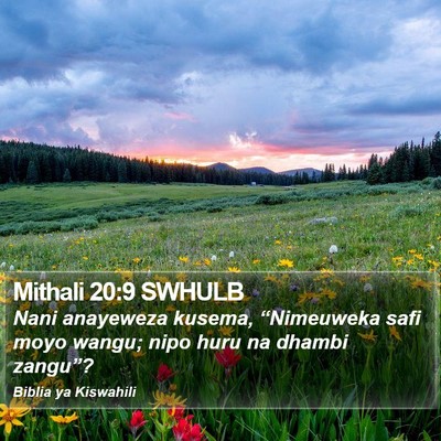 Mithali 20:9 SWHULB Bible Verse Image