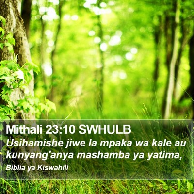 Mithali 23:10 SWHULB Bible Verse Image