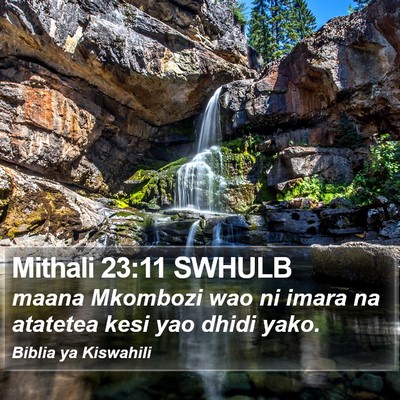 Mithali 23:11 SWHULB Bible Verse Image