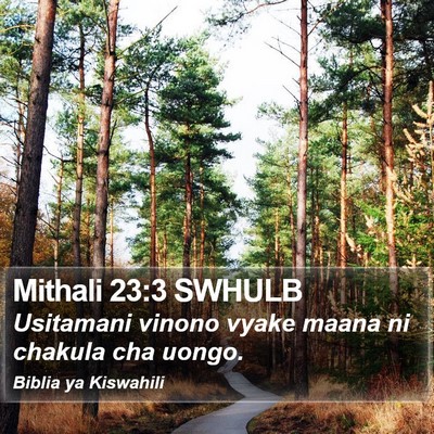 Mithali 23:3 SWHULB Bible Verse Image