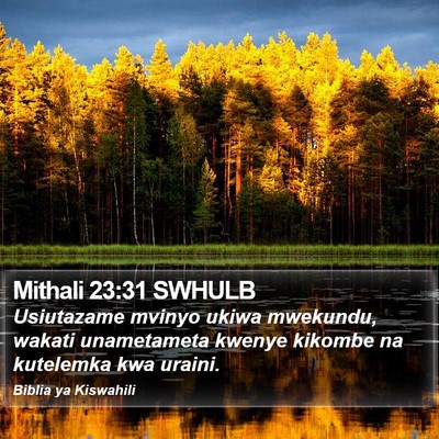 Mithali 23:31 SWHULB Bible Verse Image