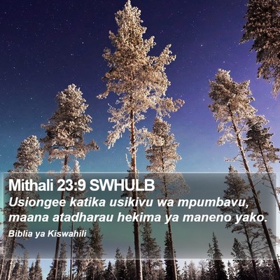 Mithali 23:9 SWHULB Bible Verse Image