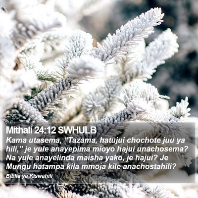 Mithali 24:12 SWHULB Bible Verse Image